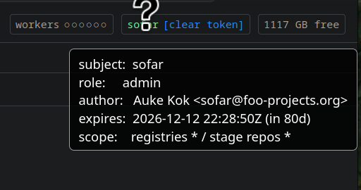 After inserting a token, you can see its metadata